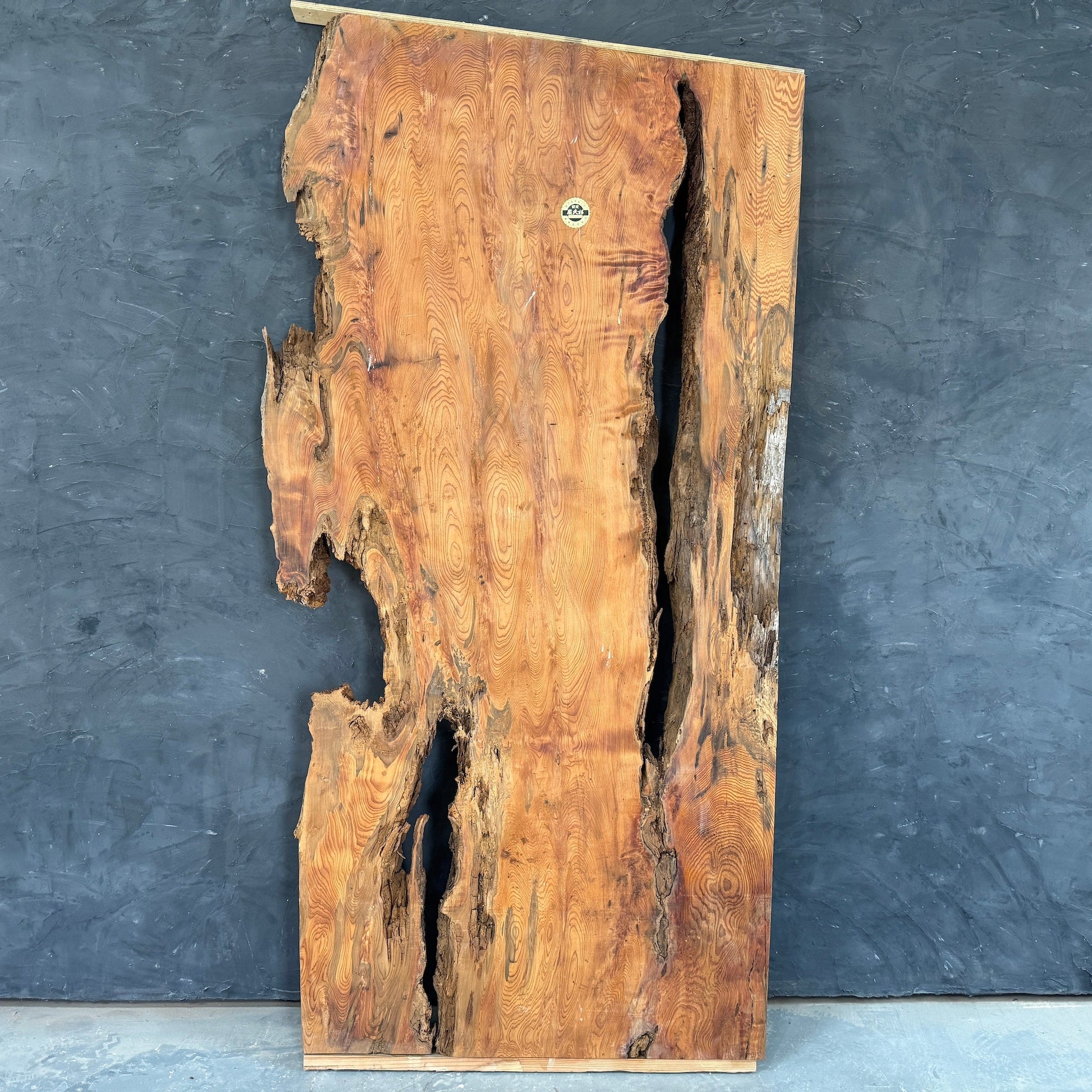 屋久杉一枚板 レジンテーブル