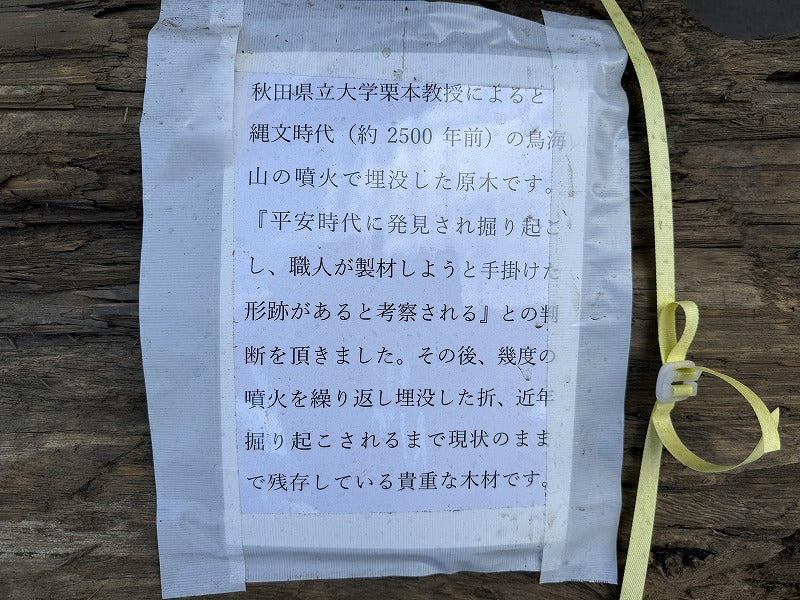 鳥海山神代杉(平安時代発掘品)