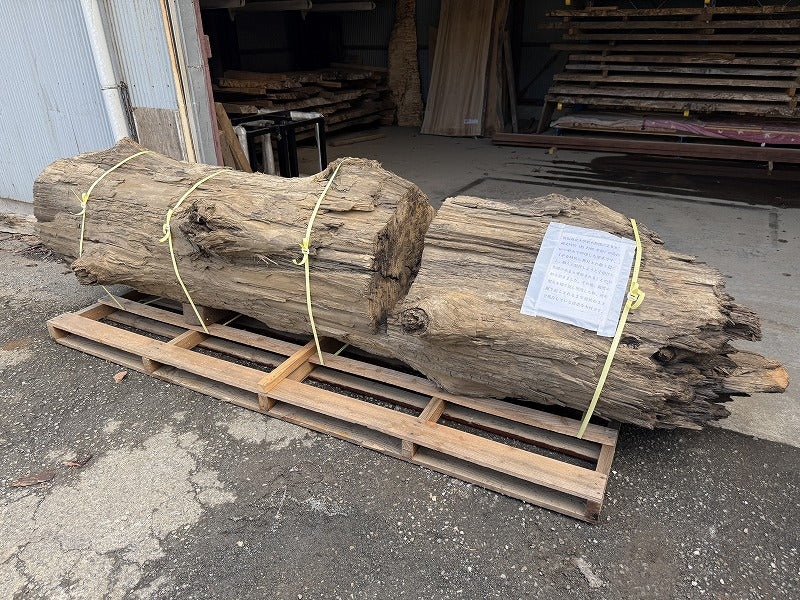 鳥海山神代杉(平安時代発掘品)