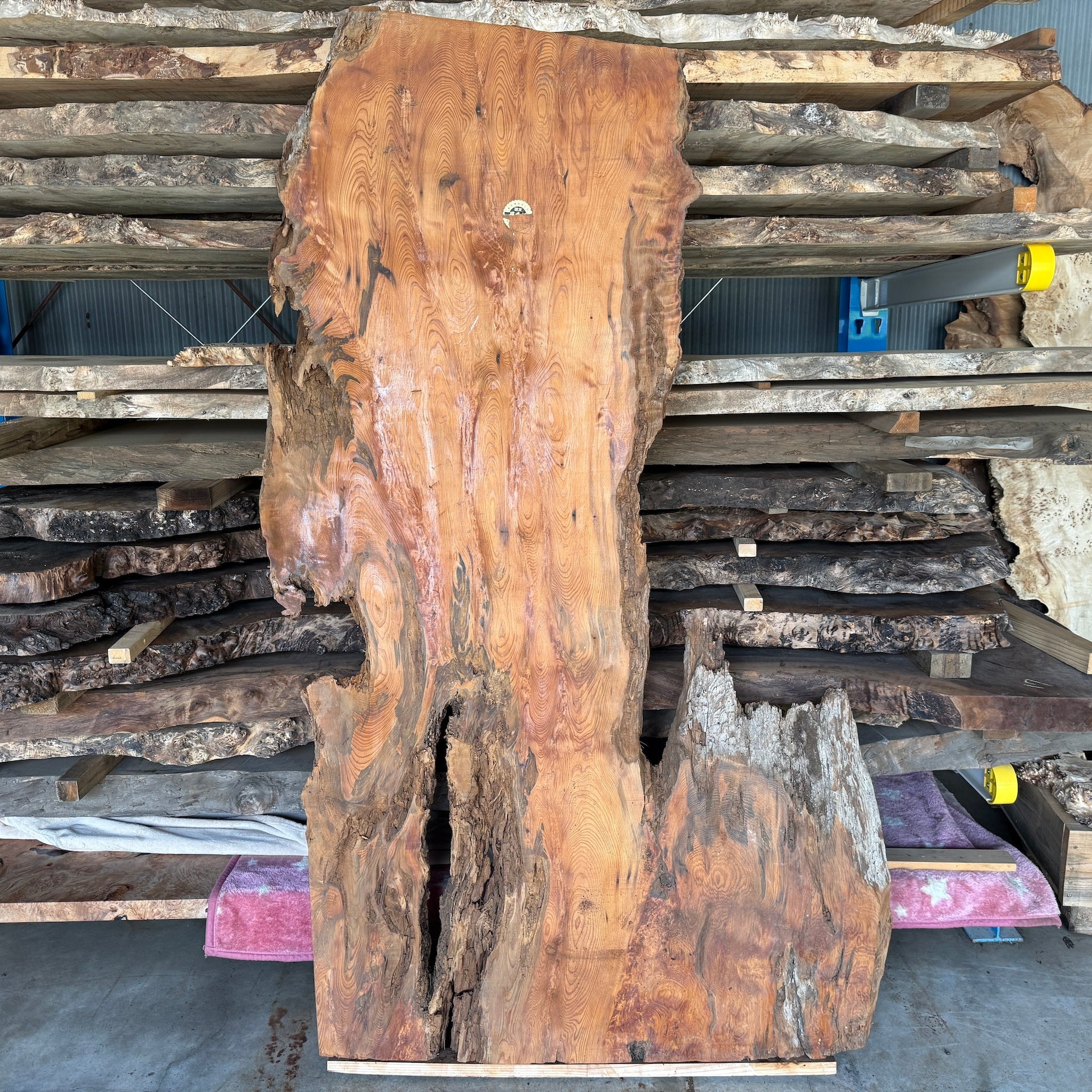 屋久杉一枚板　レジンテーブル