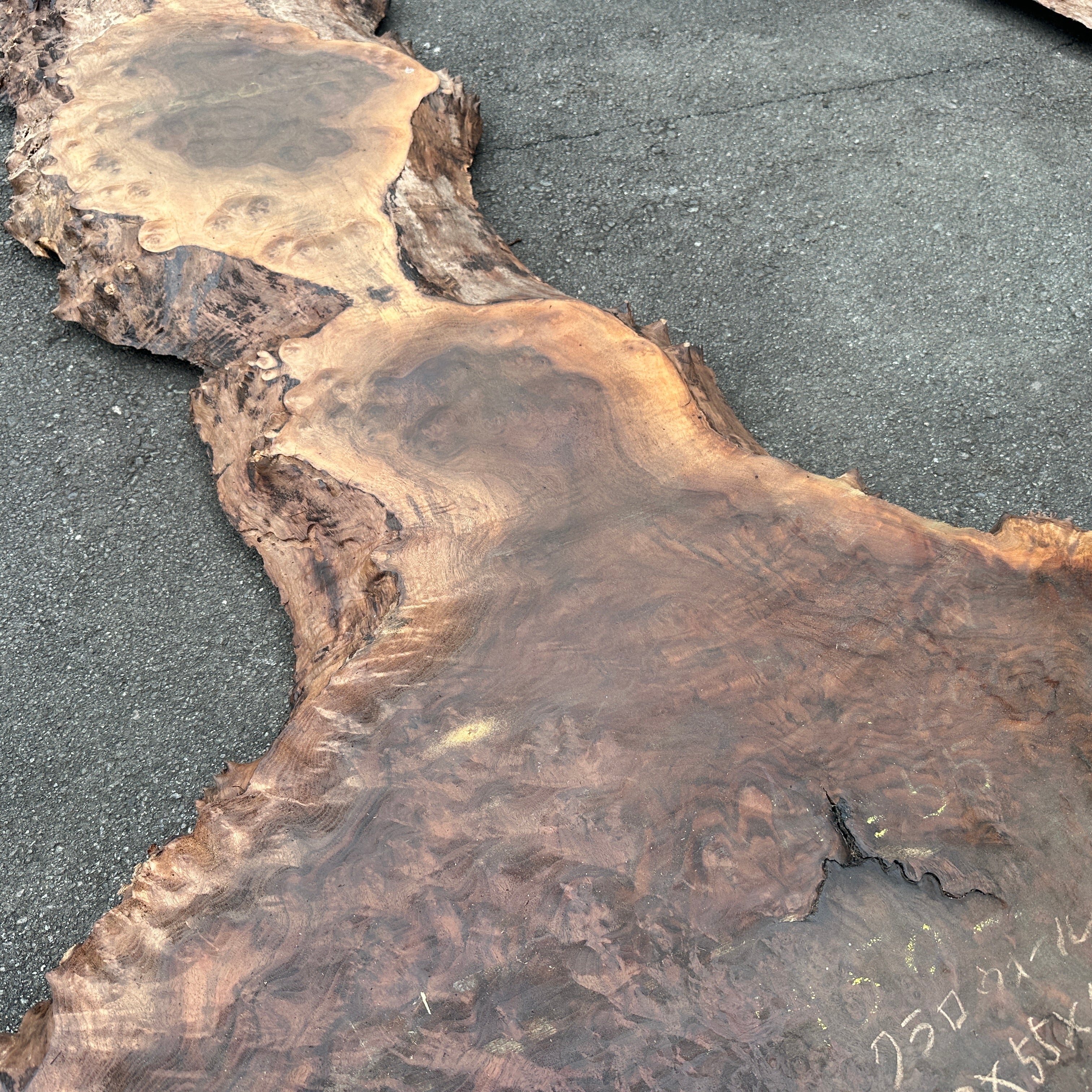 クラロウォールナット一枚板 レジンテーブル