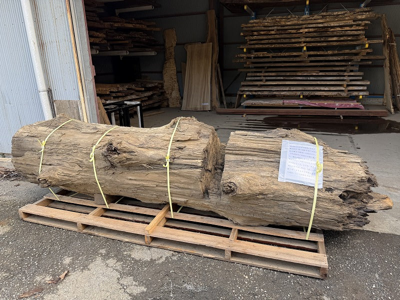 鳥海山神代杉（平安時代発掘品）