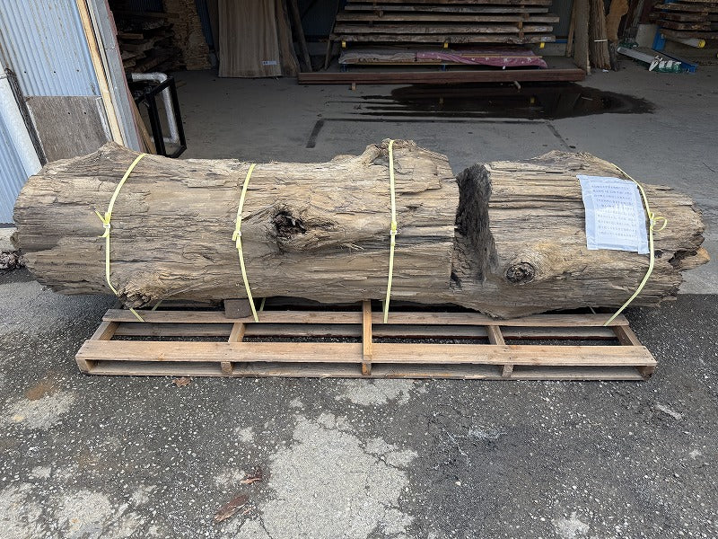 鳥海山神代杉（平安時代発掘品）
