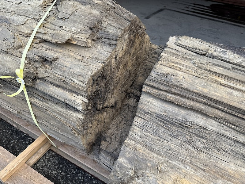 鳥海山神代杉（平安時代発掘品）