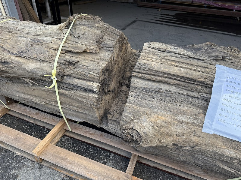 鳥海山神代杉（平安時代発掘品）